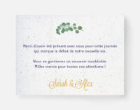 carte à planter merci eucalyptus - verso