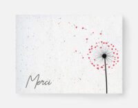 carte graines_merci pissenlit - recto
