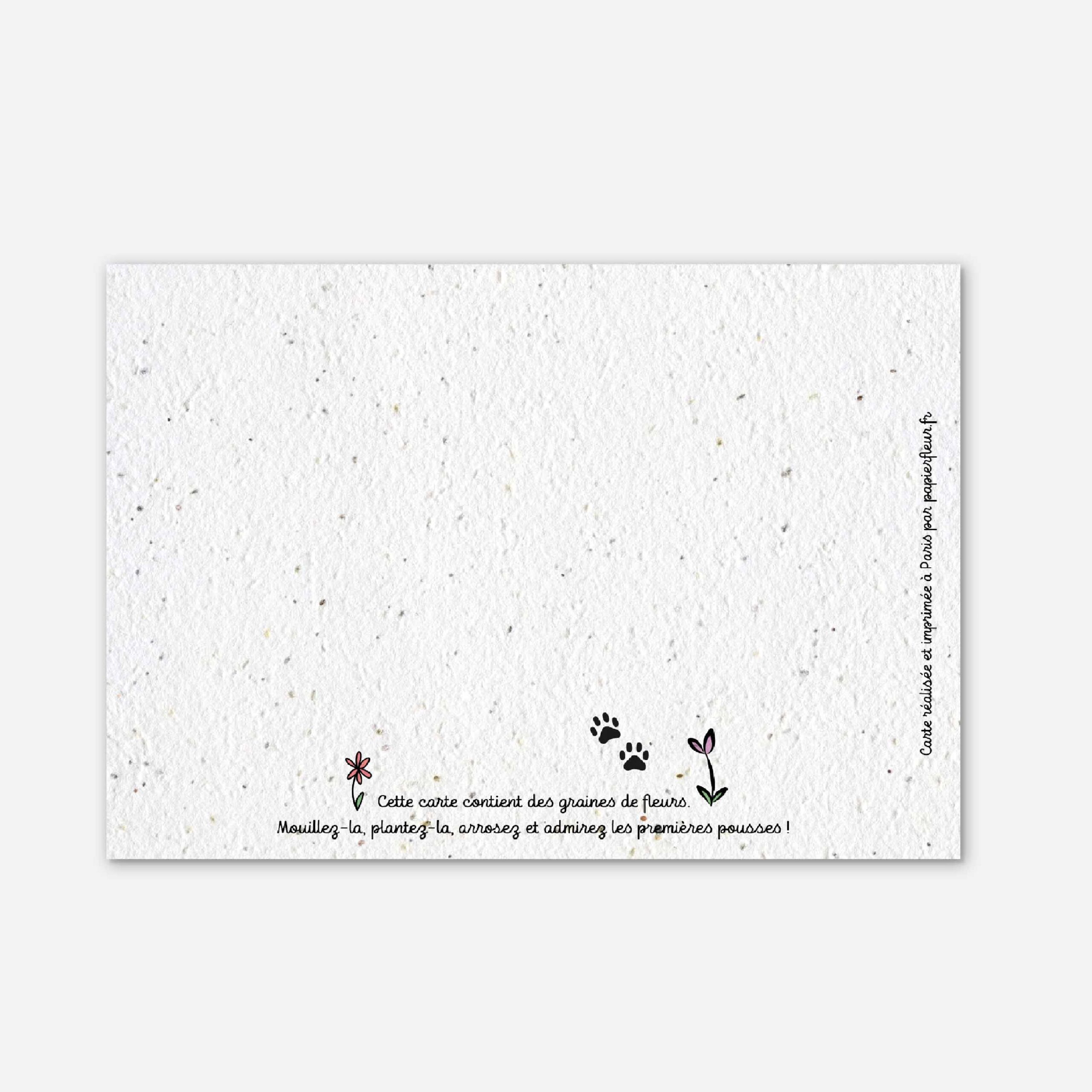 VERSO_horizontal carte à planter chat