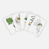 Mockup_lot carte minoé été