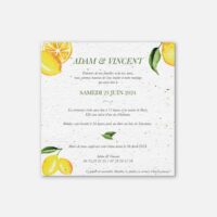 faire-part Citron - verso