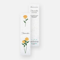 marque-page fleurs de naissance Novembre
