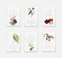 calendrier biodiversité - 2025 juillet décembre